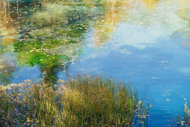 Hojas de otoño amarillas sobre la superficie del agua clara del lago de montaña con reflejo de árboles dorados bajo el sol. Fondo de naturaleza brillante del lago turquesa en colores otoñales. Hermoso lago en otoño.