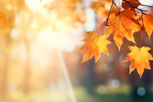 hojas de otoño en un árbol