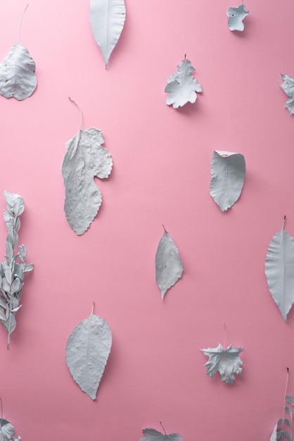 Hojas de otoño azul sobre fondo rosa composición creativa mínima
