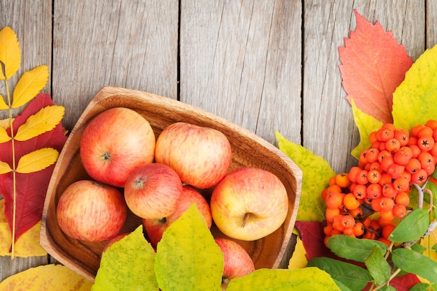 Hojas de otoño bayas de serbal y manzanas sobre fondo de madera