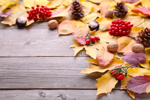 Hojas de otoño con bayas sobre un fondo gris