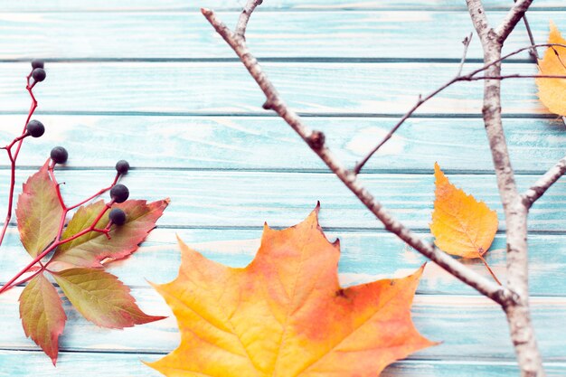 Hojas de otoño y bayas sobre un fondo de madera