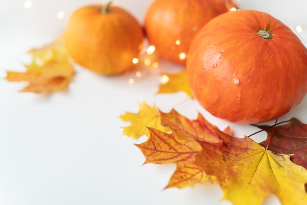 Hojas de otoño con borde de calabaza en la parte inferior, hermoso fondo otoñal. Luces intermitentes en el fondo, hermoso bokeh.