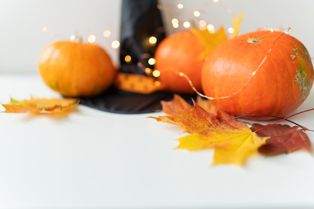 Hojas de otoño con borde de calabaza en la parte inferior, sombrero negro, hermoso fondo otoñal. Luces intermitentes en el fondo, hermoso bokeh.