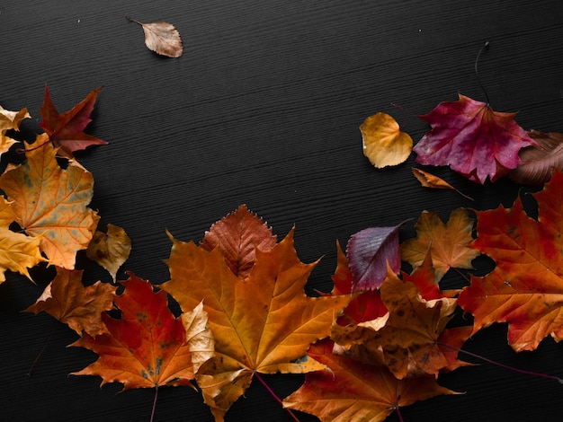 Hojas de otoño caídas en la forma de un espacio de copia de borde para su texto