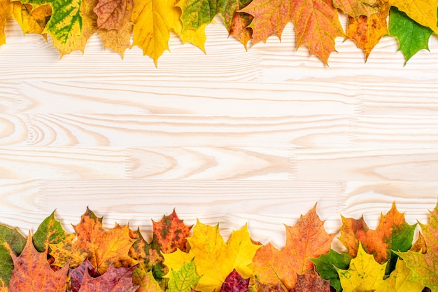 Hojas de otoño caídas, rojas y amarillas sobre tabla de madera. Fondo coloreado y brillante.