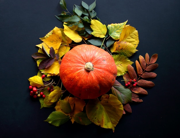 Hojas de otoño y calabaza sobre fondo negro