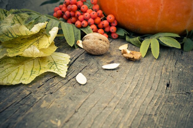 Hojas de otoño y calabaza