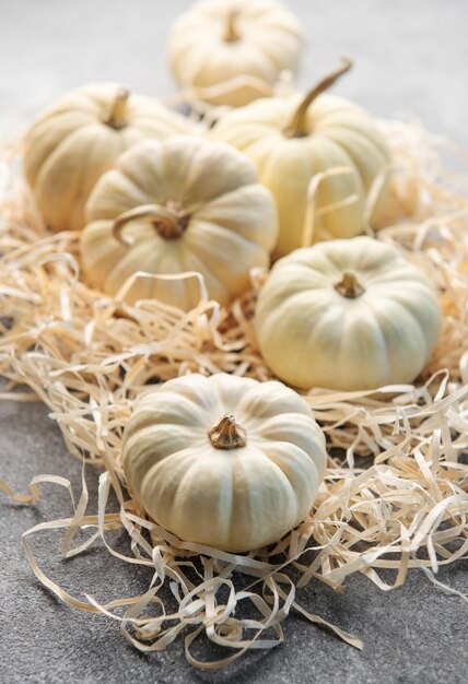 Hojas de otoño y calabazas sobre fondo de hormigón gris