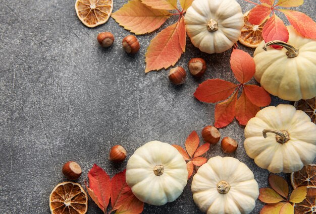 Hojas de otoño y calabazas sobre fondo de hormigón gris