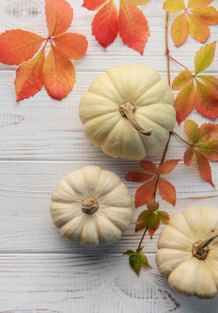 Hojas de otoño y calabazas sobre fondo de madera vieja