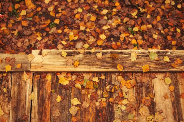 Hojas de otoño en un camino de fondo de madera