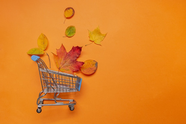 Hojas de otoño en carro de supermercado en naranja, plano