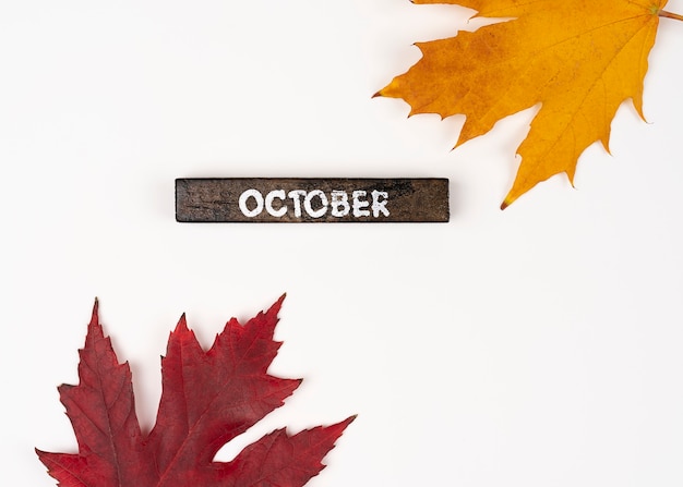 Hojas de otoño cayendo aisladas sobre fondo blanco Concepto de mes de octubre hojas de otoño en octubre