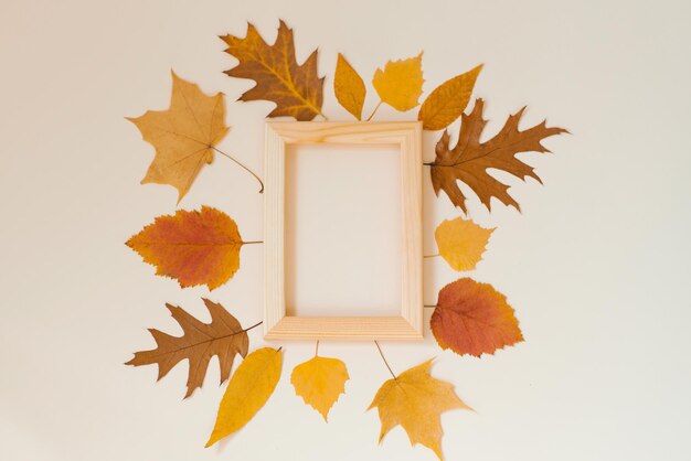 Hojas de otoño coloridas alrededor de un marco de madera. Copia espacio