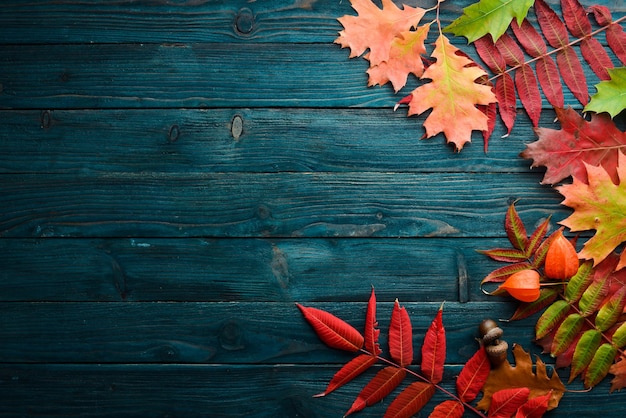 Hojas de otoño coloridas endecha plana. Sobre un fondo de madera azul. Vista superior. Espacio libre para su texto.