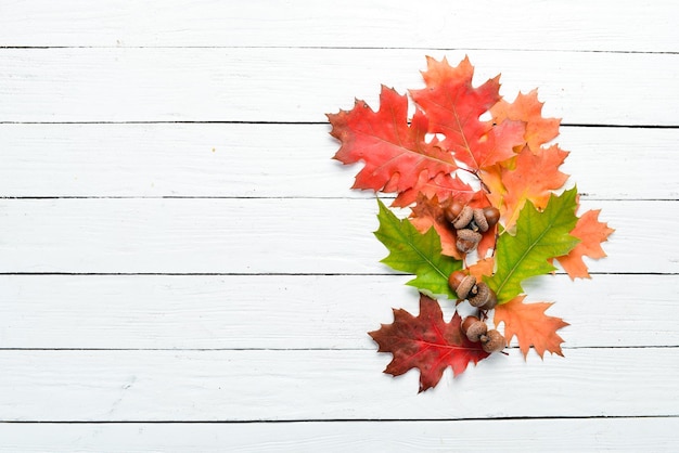 Hojas de otoño coloridas sobre un fondo blanco de madera Vista superior Espacio libre para el texto