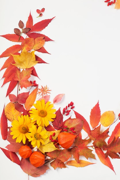 Hojas de otoño y flores en blanco