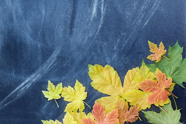 Hojas de otoño en el fondo de la junta de profesores.