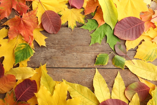 Hojas de otoño en el fondo de madera