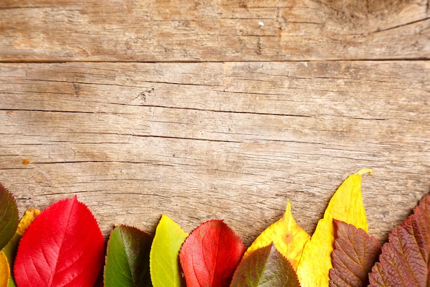 Hojas de otoño en el fondo de la mesa de madera