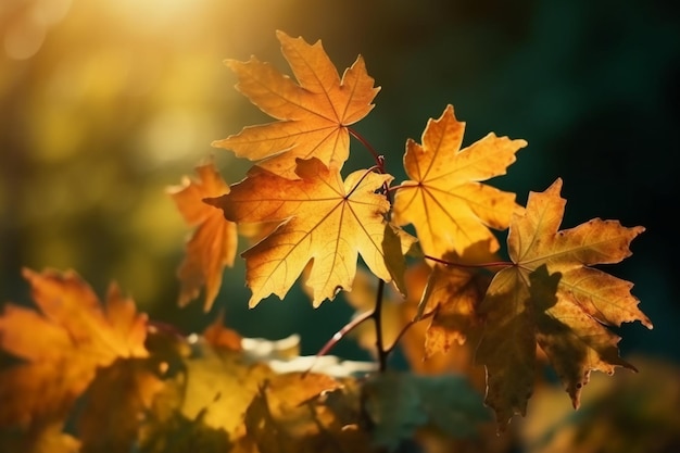 Hojas de otoño a la luz del sol con el sol brillando sobre ellas.