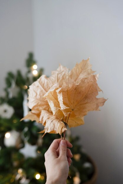 Hojas de otoño en la mano en el fondo del árbol de Navidad