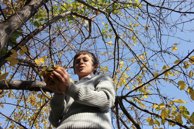 hojas de otoño en la mano del niño