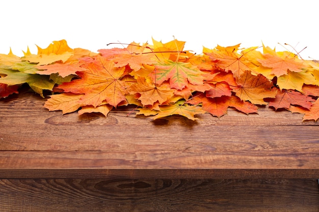 Foto hojas de otoño en una mesa de madera