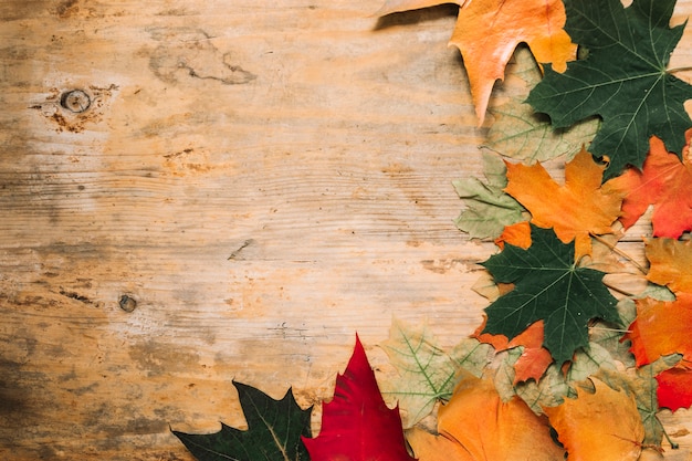 Las hojas de otoño otoño sobre fondo de madera