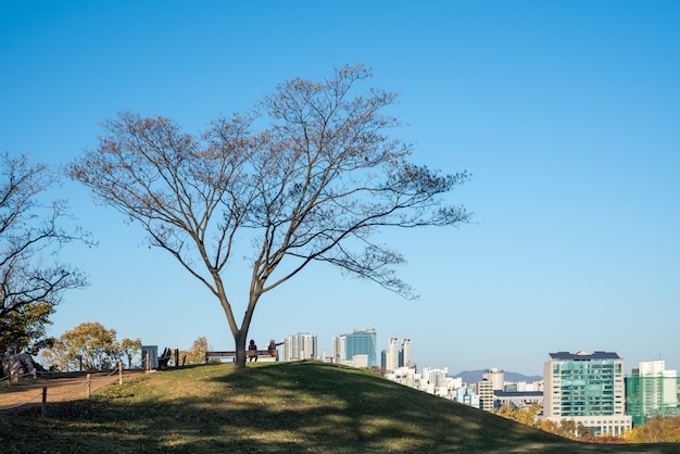 Hojas de otoño. Paisaje de otoño Parque Olímpico de Seúl en Corea del Sur.