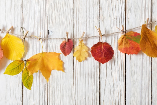 Hojas de otoño en la pared de madera