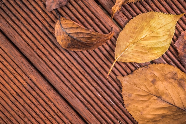 Hojas de otoño en el piso de madera