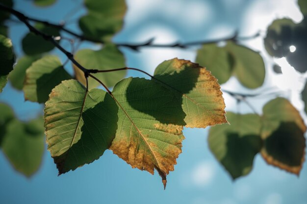 Hojas de otoño en la rama de un árbol contra un fondo de cielo azul