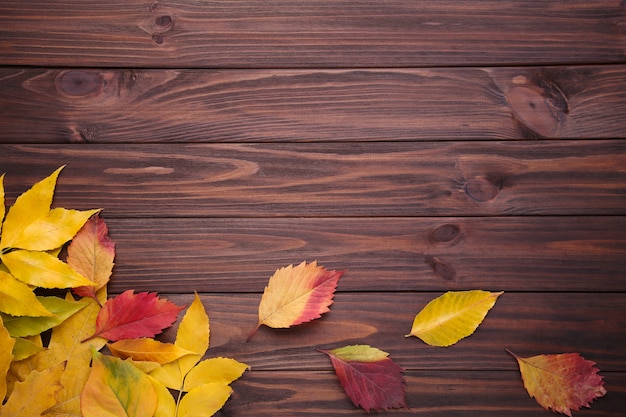 Hojas de otoño rojas y anaranjadas en mesa marrón