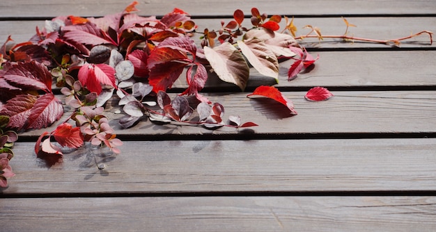 Hojas de otoño rojas sobre fondo de madera vieja