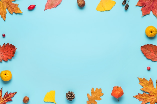 Hojas de otoño secas aisladas en azul