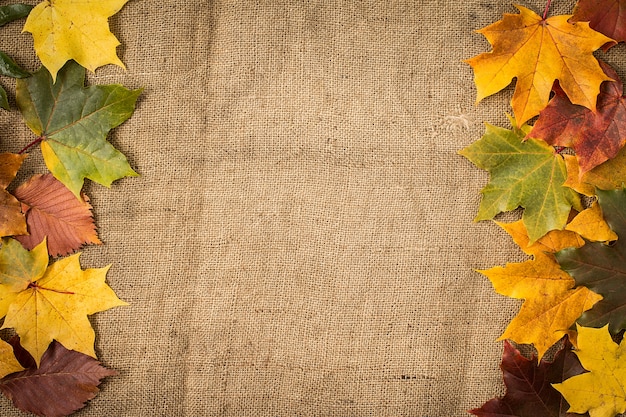 Hojas de otoño sobre arpillera