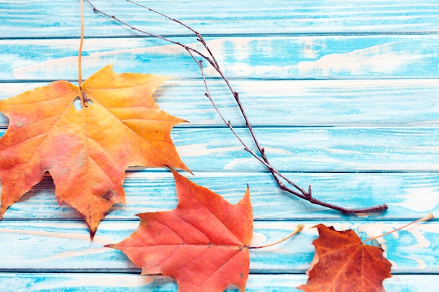 Hojas de otoño sobre un fondo azul de madera