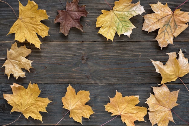 Hojas de otoño sobre fondo de madera. Adquisiciones para diseñadores. Plantilla. Fondo. Bosquejo