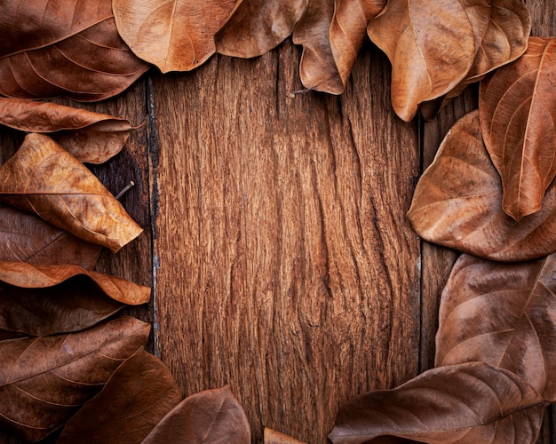 Foto hojas de otoño sobre fondo de madera antiguo vintage