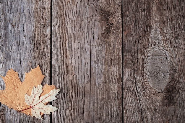 Hojas de otoño sobre fondo de madera