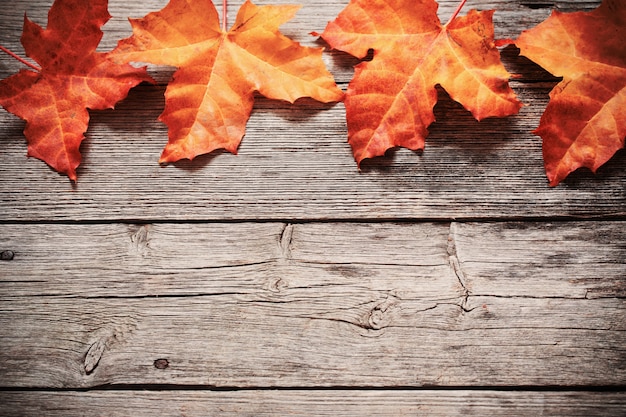 Hojas de otoño sobre fondo de madera