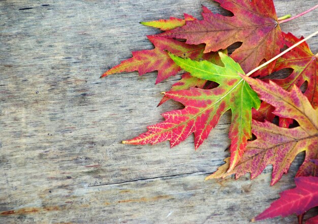 Hojas de otoño sobre fondo de madera