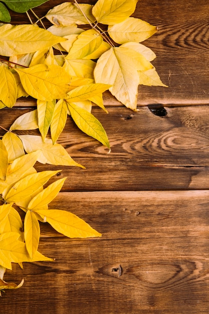 hojas de otoño sobre un fondo de madera