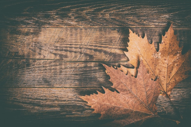 Hojas de otoño sobre fondo de madera