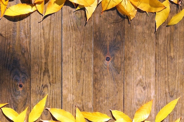 Hojas de otoño sobre fondo de madera