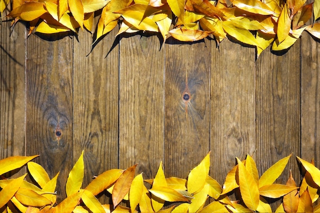 Hojas de otoño sobre fondo de madera