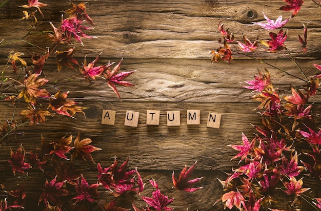 Foto hojas de otoño sobre madera