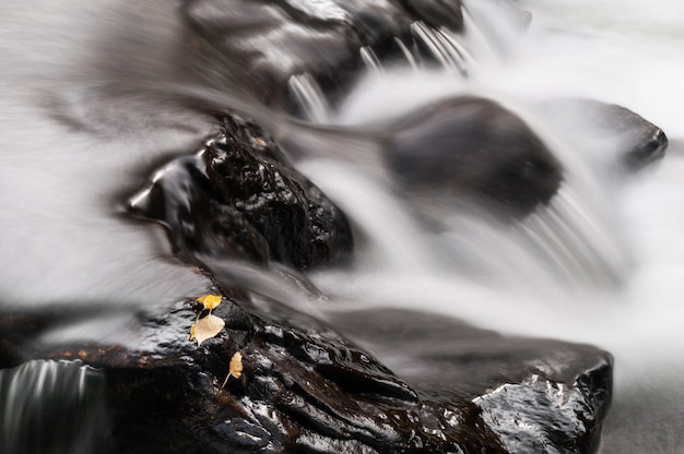 Hojas de otoño sobre las piedras en la cascada. Sesión de larga exposición. Hermoso paisaje otoñal